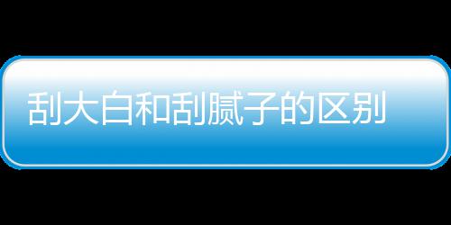 平米呢子的刮大刮腻 刮白和大白多少区别钱一